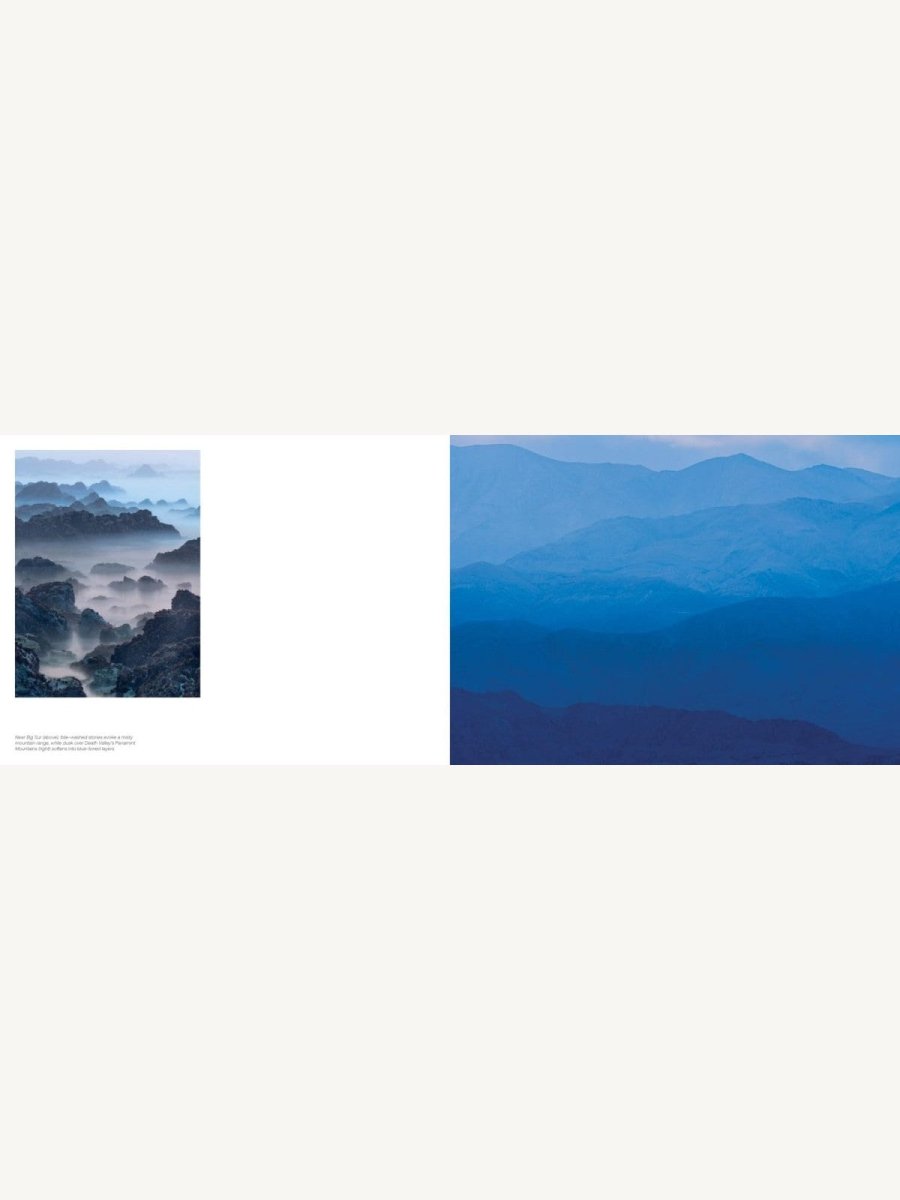 Jon McCormack: Patterns. Art of the Natural World - Boutique Galleria