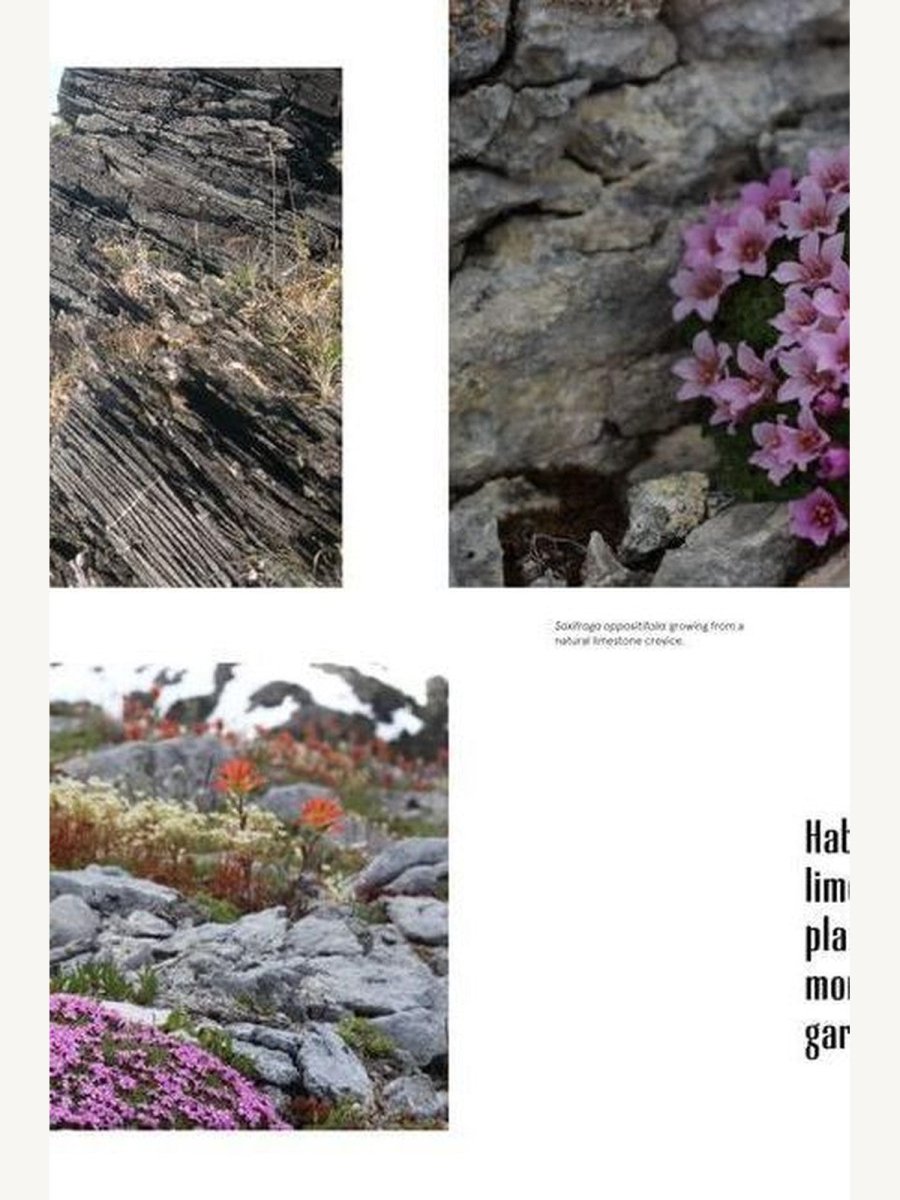 The Crevice Garden (Book) | Books - Cuisine Book - Boutique Galleria