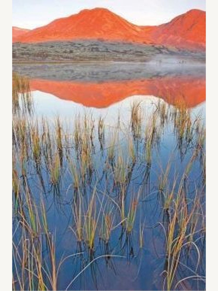 Wild Places of Europe Astounding views of the continent’s most beautiful nature sites (Book) | Travel Book - Boutique Galleria