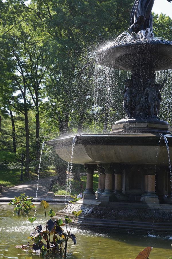 Fountain Safari by James Garland