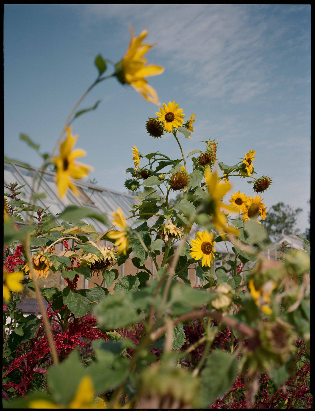 A Magazine Curated By