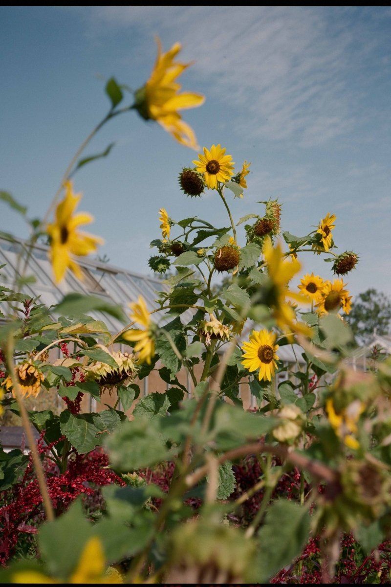 A Magazine Curated By - Boutique Galleria