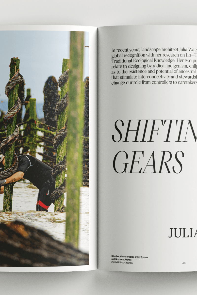 DAMNº - Boutique Galleria