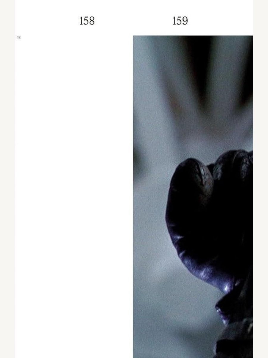 David Cronenberg: Clinical Trials by Violet Lucca (Book) | Fashion Book - Boutique Galleria