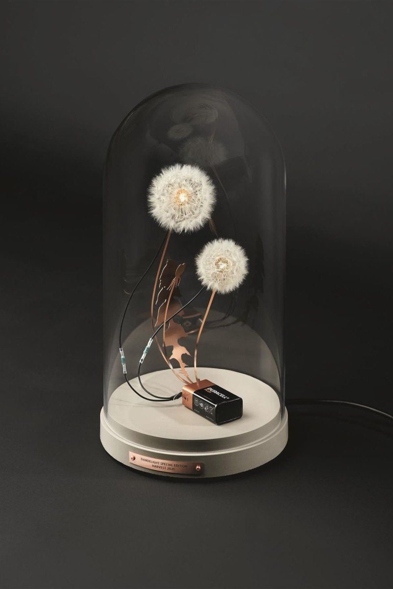 DRIFT: Choreographing the Future - Boutique Galleria