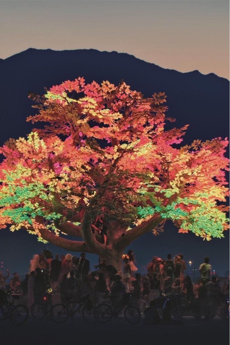 DRIFT: Choreographing the Future - Boutique Galleria