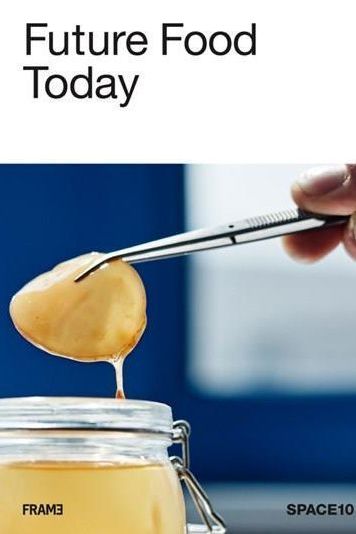 Future Food Today: A cookbook by SPACE10 - Boutique Galleria