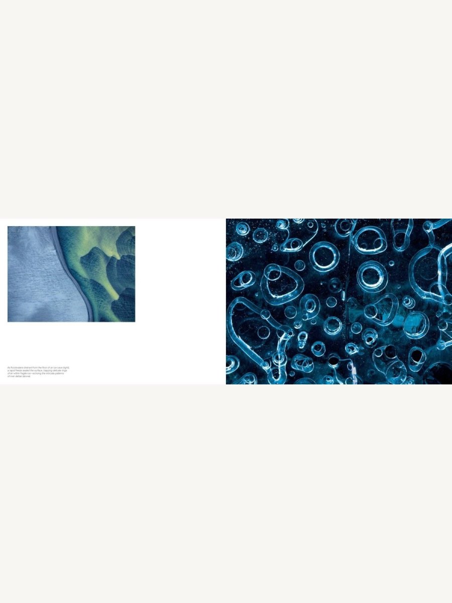 Jon McCormack: Patterns. Art of the Natural World - Boutique Galleria