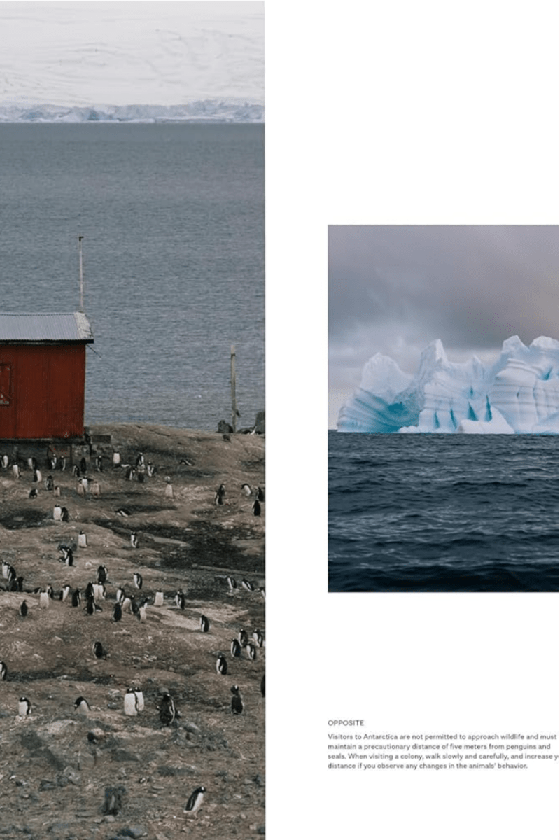 Kinfolk Journeys by John Burns - Boutique Galleria