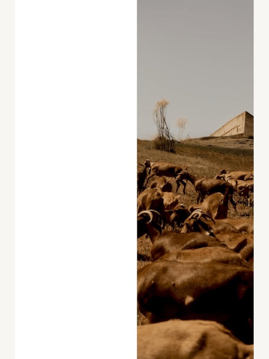 Kinfolk Journeys by John Burns (Book) | Travel Book - Boutique Galleria