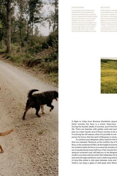 Kinfolk Wilderness - Boutique Galleria