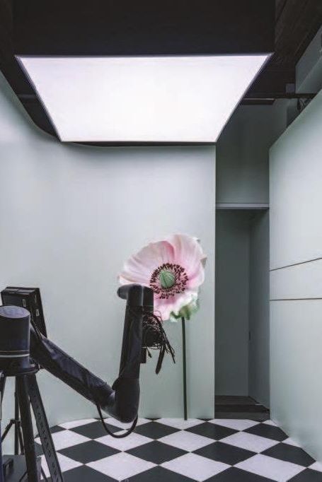 Numero New York - Boutique Galleria