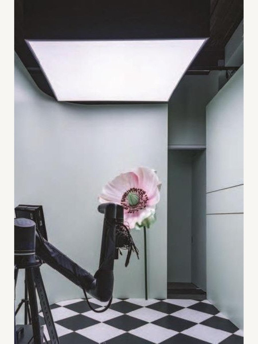 Numero New York - Boutique Galleria