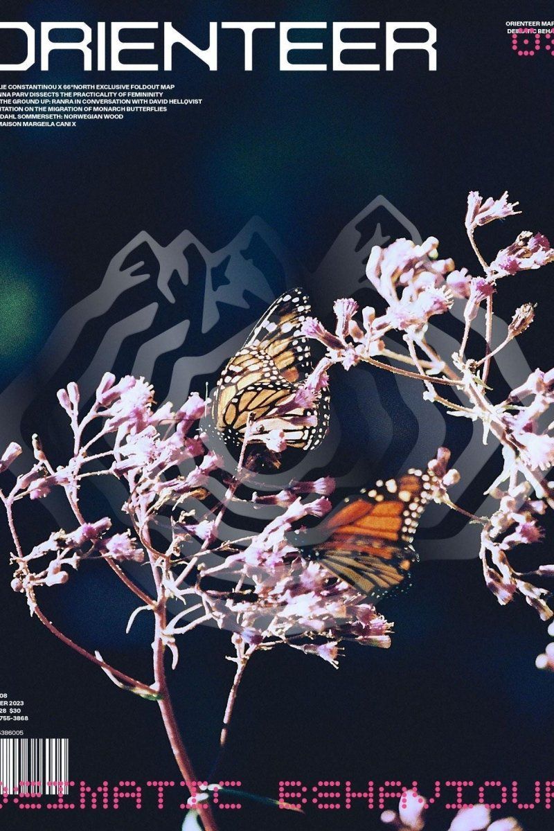 Orienteer - Boutique Galleria