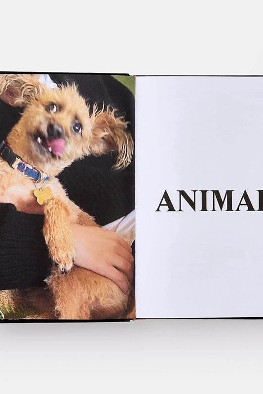 Palace Product Descriptions, The Selected Archive by Palace Skateboards - Boutique Galleria