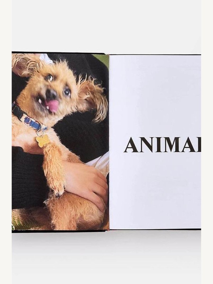 Palace Product Descriptions, The Selected Archive by Palace Skateboards (Book) | Fashion Book - Boutique Galleria