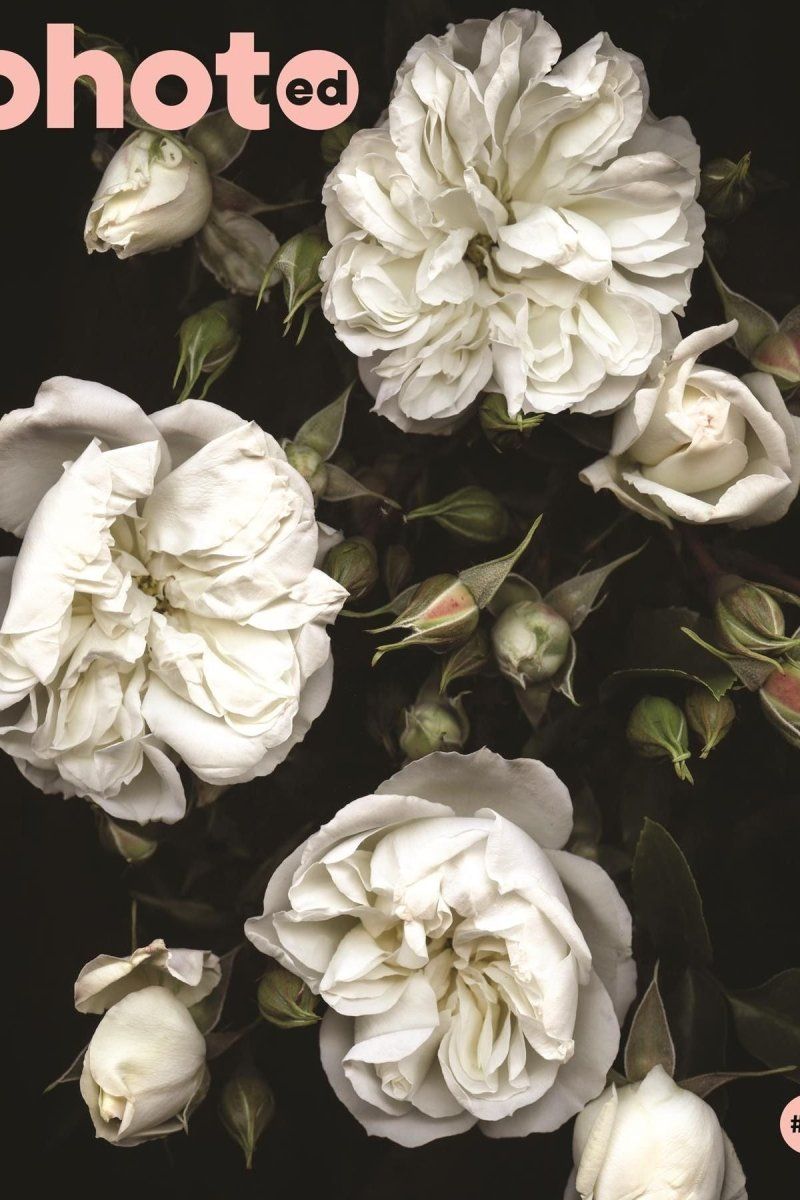 PhotoED Magazine - Boutique Galleria