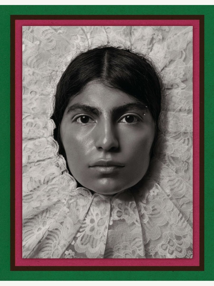 Pieter Henket: Birds of Mexico City - Boutique Galleria