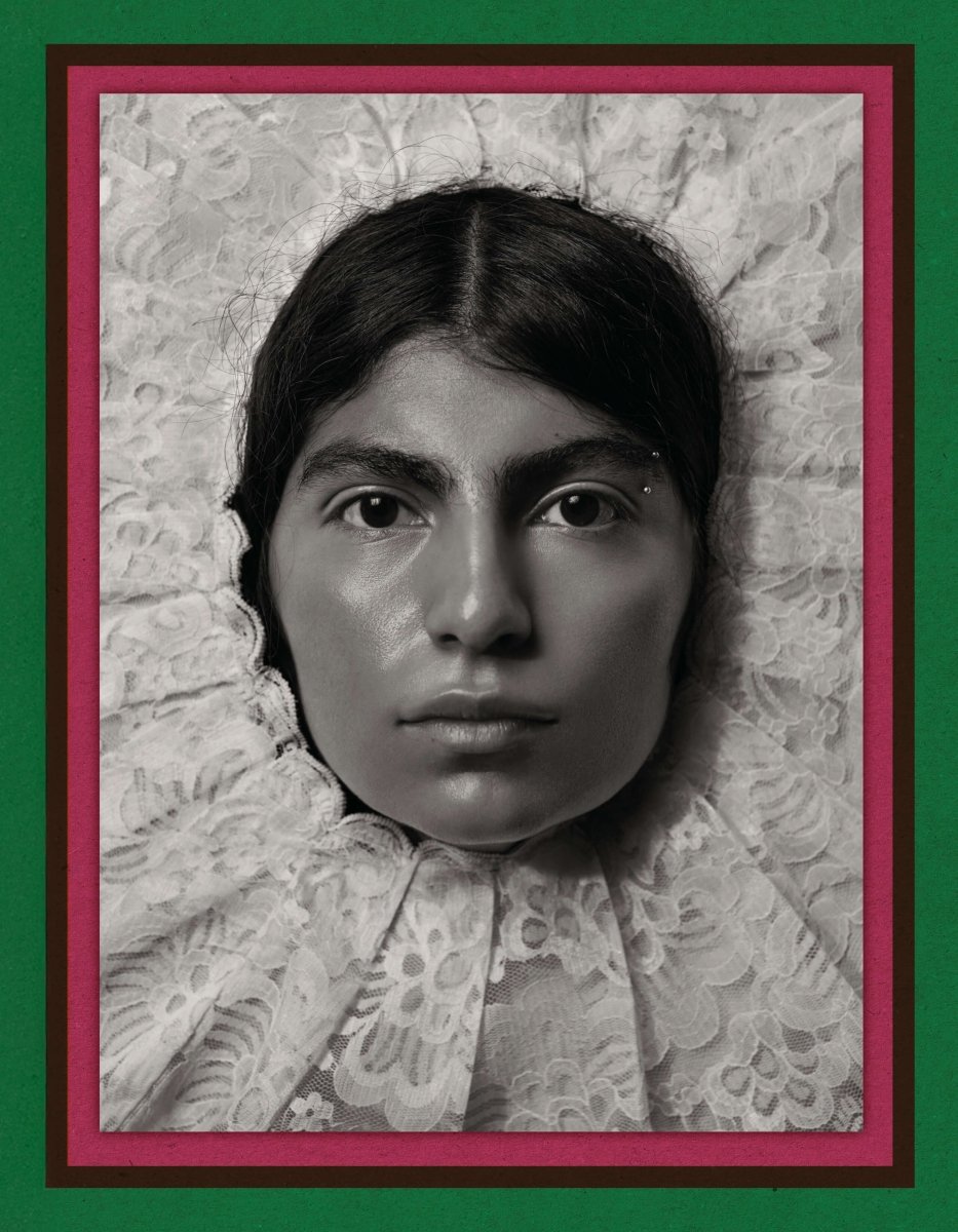 Pieter Henket: Birds of Mexico City - Boutique Galleria