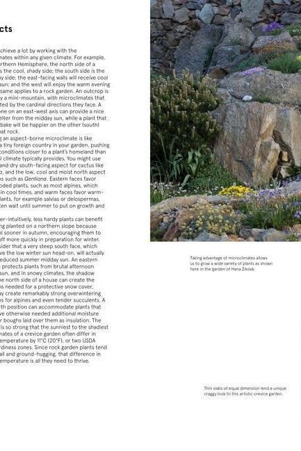 The Crevice Garden - Boutique Galleria