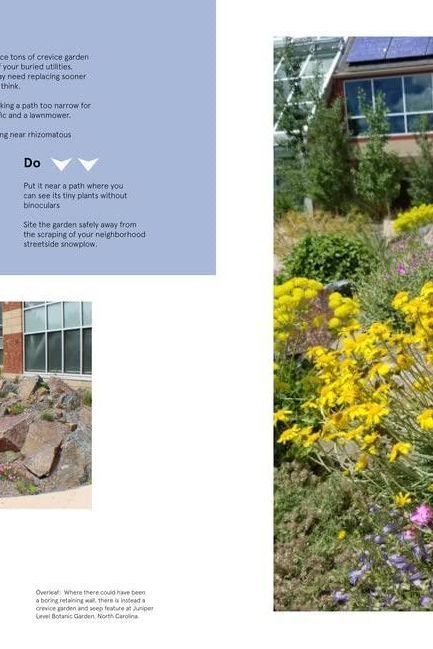 The Crevice Garden - Boutique Galleria