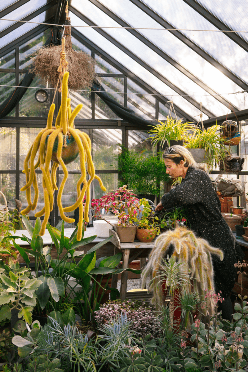 The Kinfolk Garden - Boutique Galleria