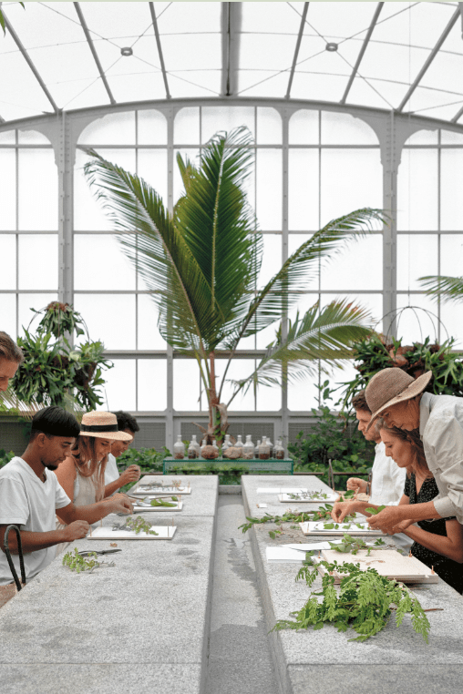 The Kinfolk Garden - Boutique Galleria