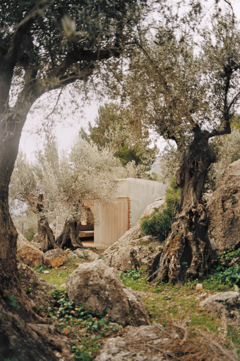 The Kinfolk Garden - Boutique Galleria