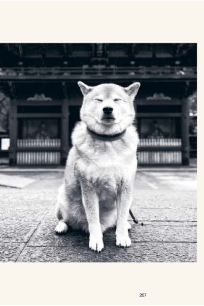 The Monocle Book of Japan - Boutique Galleria