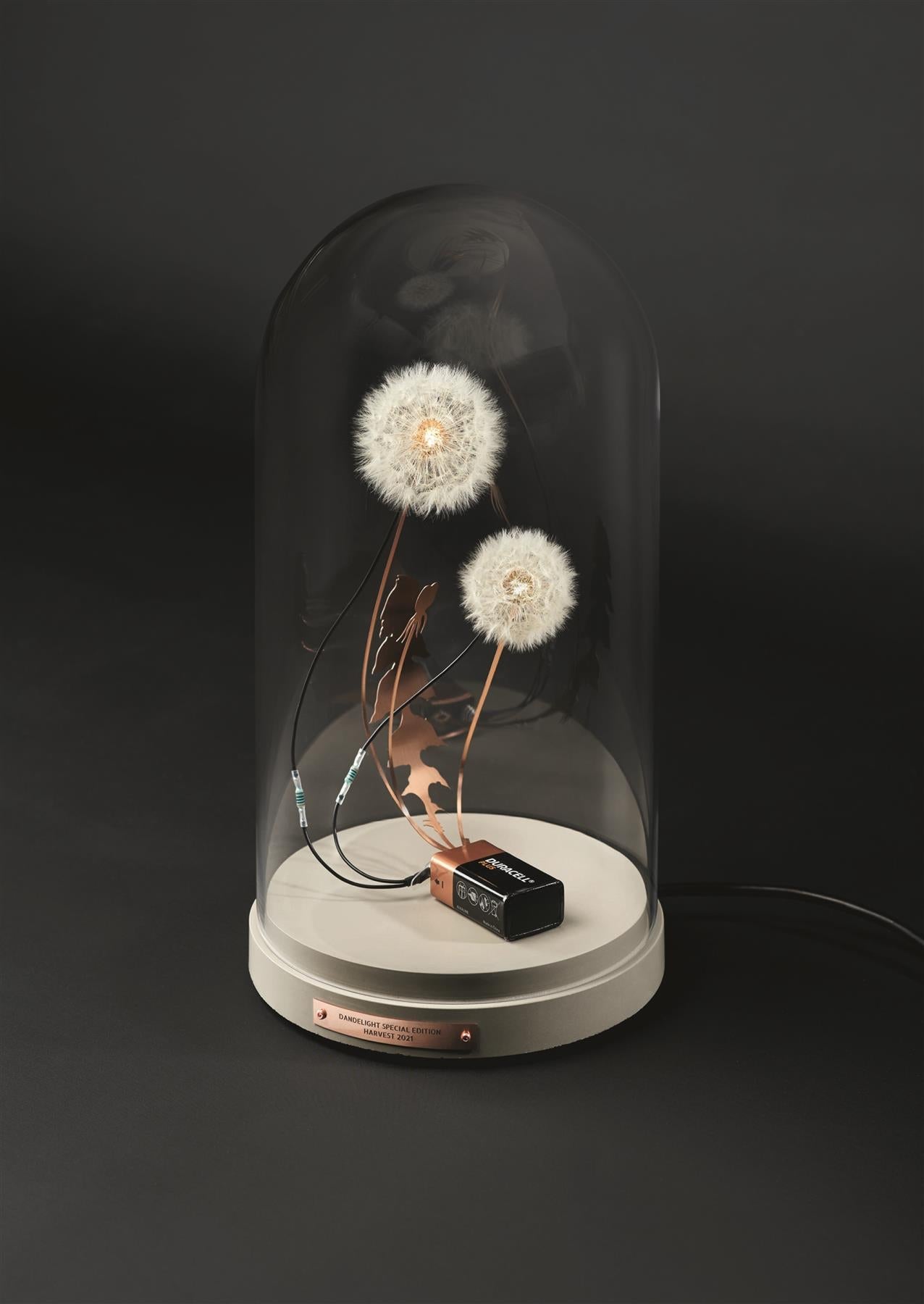 DRIFT: Choreographing the Future