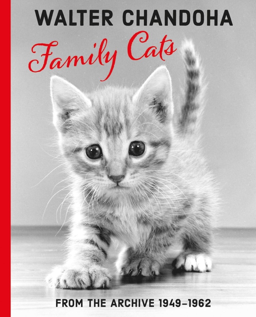 Walter Chandoha – Family Cats. From the Archive - Boutique Galleria