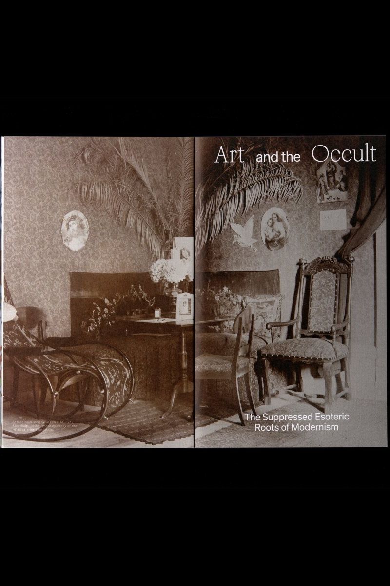 White Fungus - Boutique Galleria