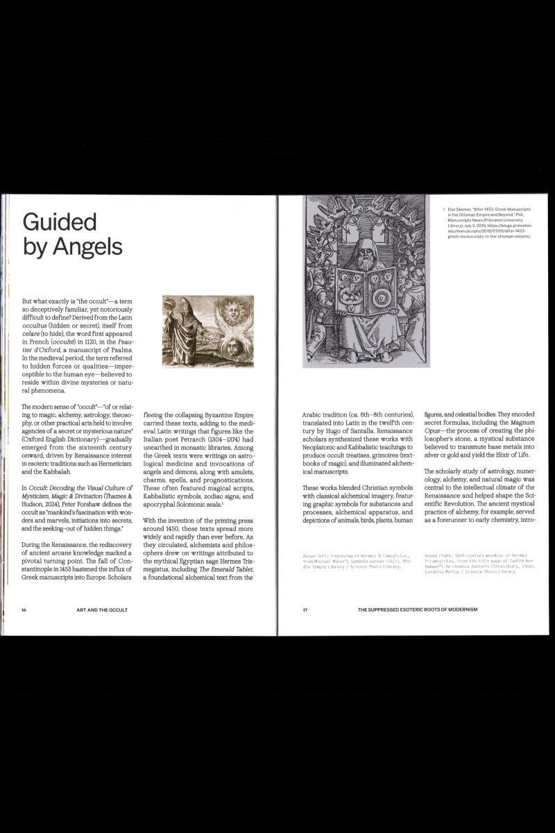 White Fungus - Boutique Galleria