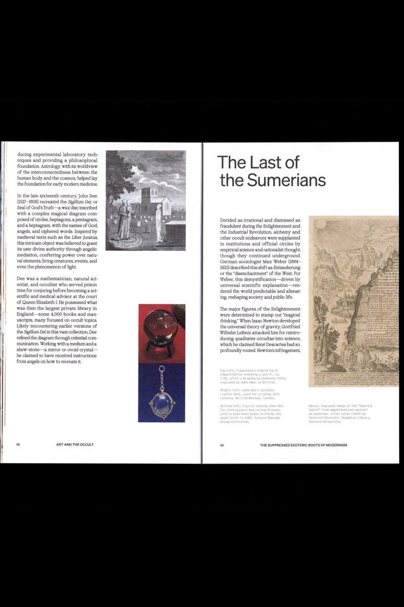 White Fungus - Boutique Galleria